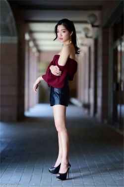 坚定不移贯彻总体国家安全观